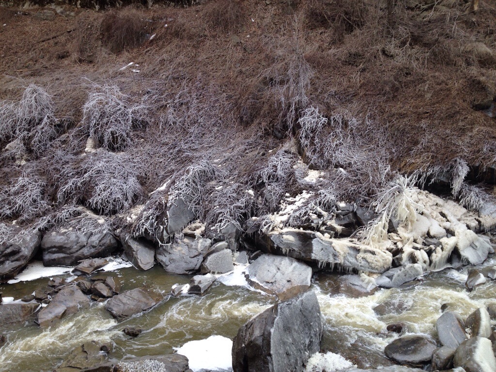 20140317-224710.jpg