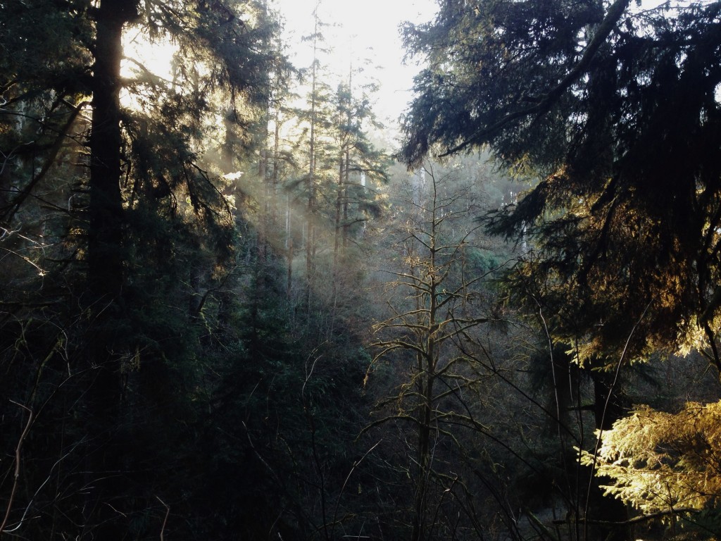 Processed with VSCOcam with m5 preset